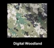 Digital Woodland