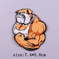 PE5806CT