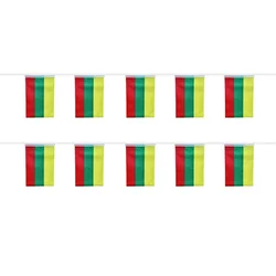 Banderines Lituania Sky Flag – Decoración militar para outdoor