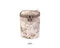 AOR1