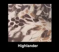 HIghlander