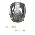 Only the mask