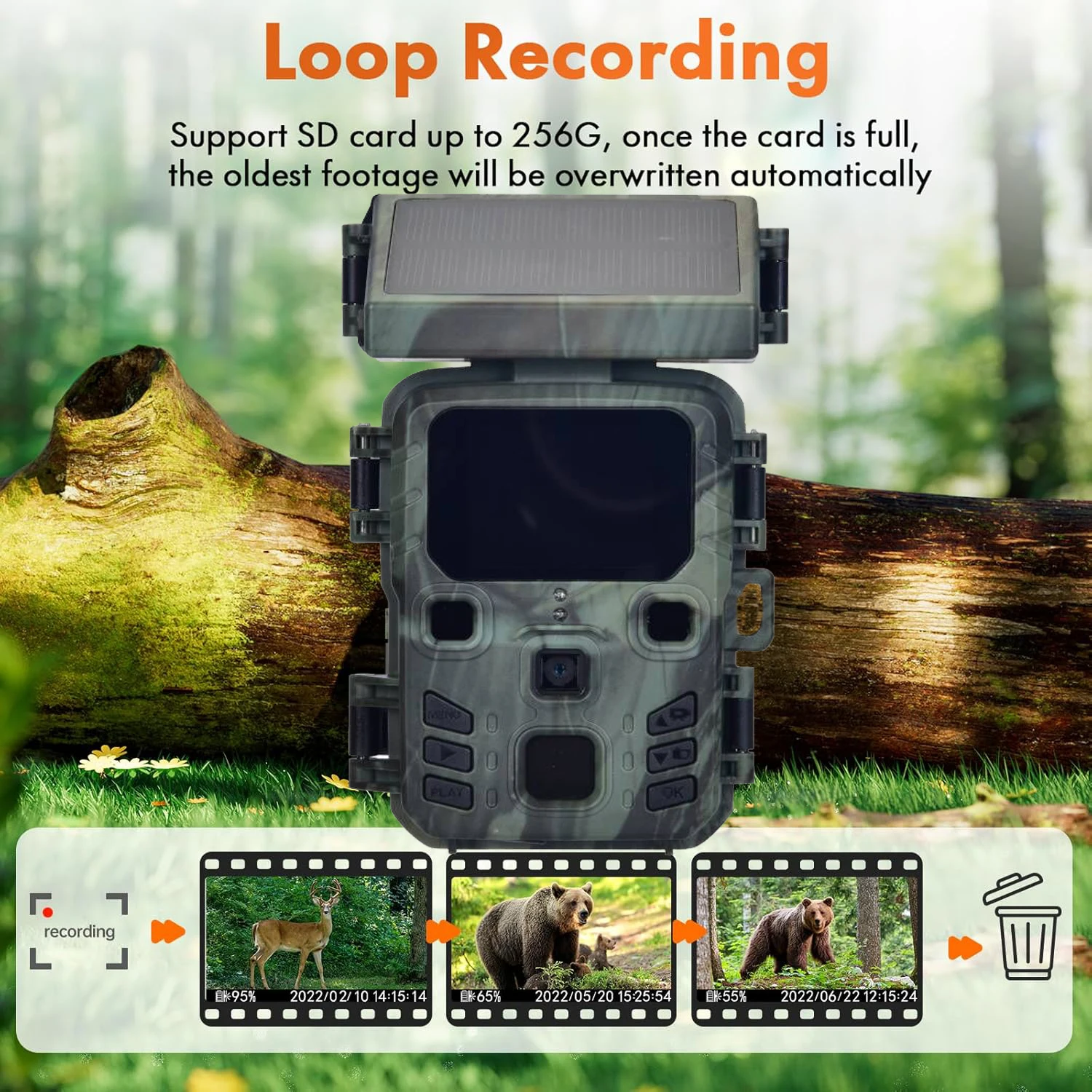 Cámara de rastreo de visión nocturna con energía Solar para exteriores, 50MP, 4K, caza, disparador de 0,3 s, cámara de rastreo para monitoreo de vida silvestre, cámara de juego con trampa - imagen 4