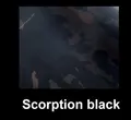 black Scorption