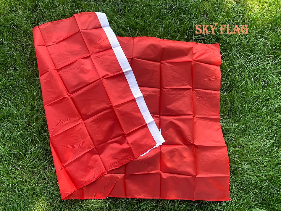 SKY FLAG Bandera de Vietnam 3x5 pies 90x150 cm poliéster doble cara impresa bandera del país de Vietnam bandera nacional - imagen 5