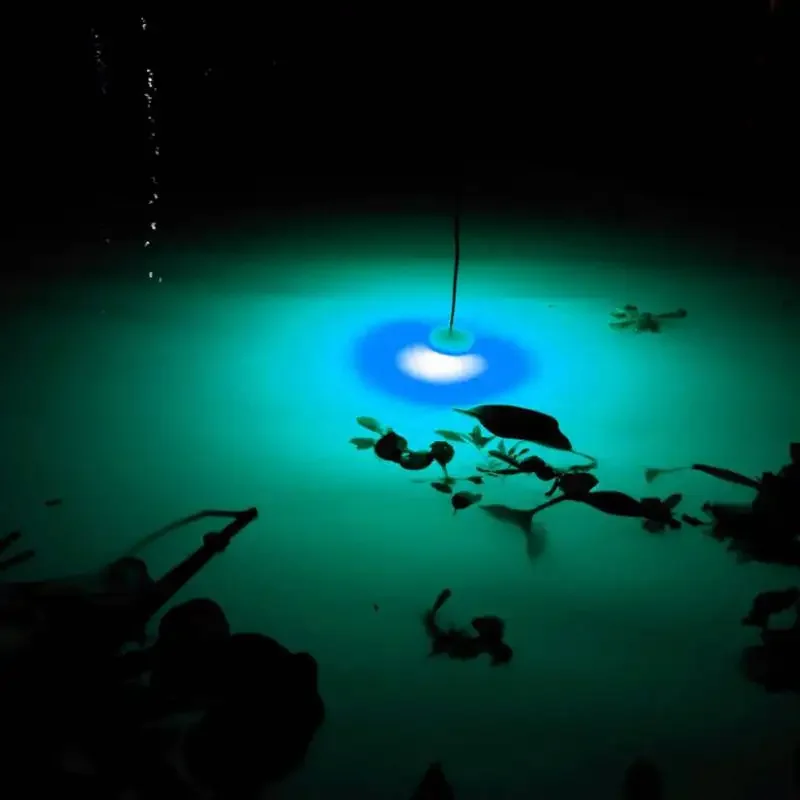 Mini luces LED parpadeantes de caída profunda, luces subacuáticas para pesca, calamar, señuelo de peces, lámpara verde, luz nocturna para peces, atractor, río, océano, mar - imagen 3