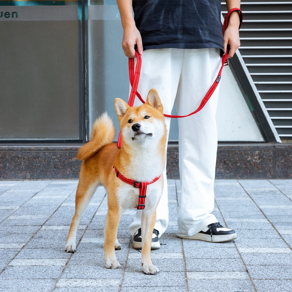 Correa táctica reflectante para perro de trabajo – Caza y outdoor - imagen 5