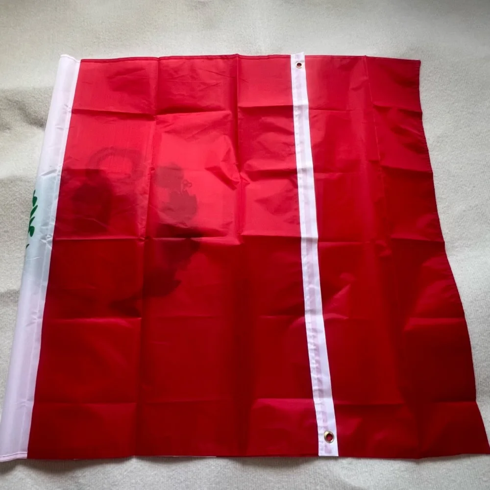 Bandera de Perú 90x150cm colgante de alta calidad 3x5 pies decoración de pancarta de bandera de poliéster - imagen 2