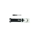 Luminous Buckle