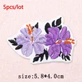 PE17024CT