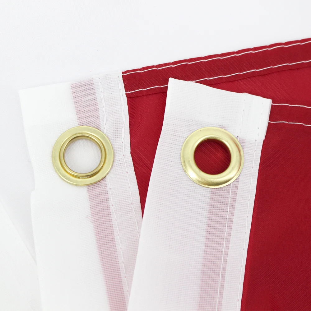 FLAGLINK 90x150 CM EE.UU. Bandera de Florida Para Decoración - imagen 5