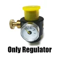 Only Regulator