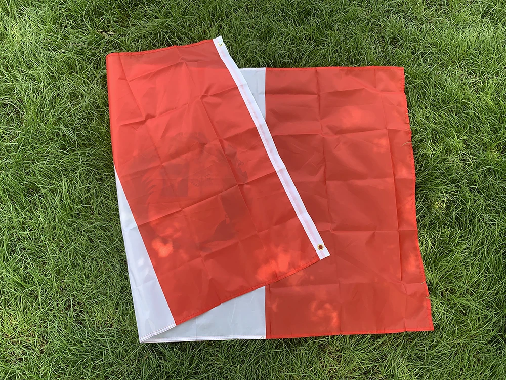 Bandera Perú doble cara de poliéster impresa para colgar - imagen 5