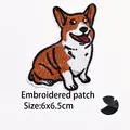 patches 19