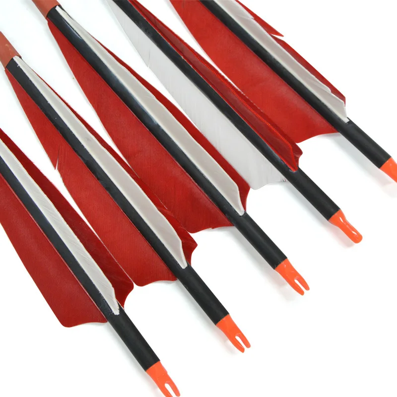 Flechas de tiro de plumas turcas, fibra de carbono, pernos de hierro, adecuadas para arco compuesto, caza, 10 unids/paquete, 500 - imagen 5