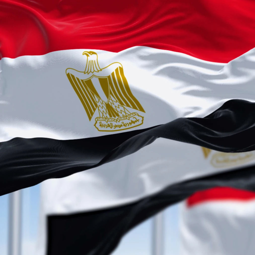 Bandera de Egipto EGY en poliéster impresa para decoración y pancarta - imagen 2