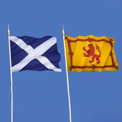 FLAGLINK Bandera de Escocia León Rampant – Decoración