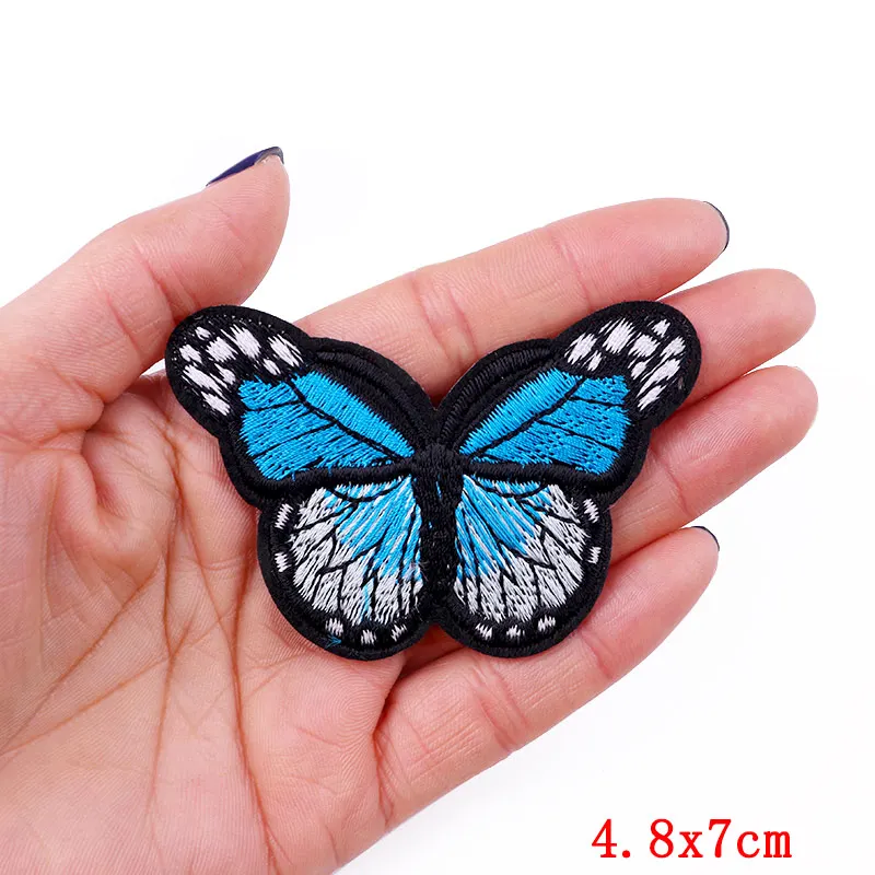 big butterfly4