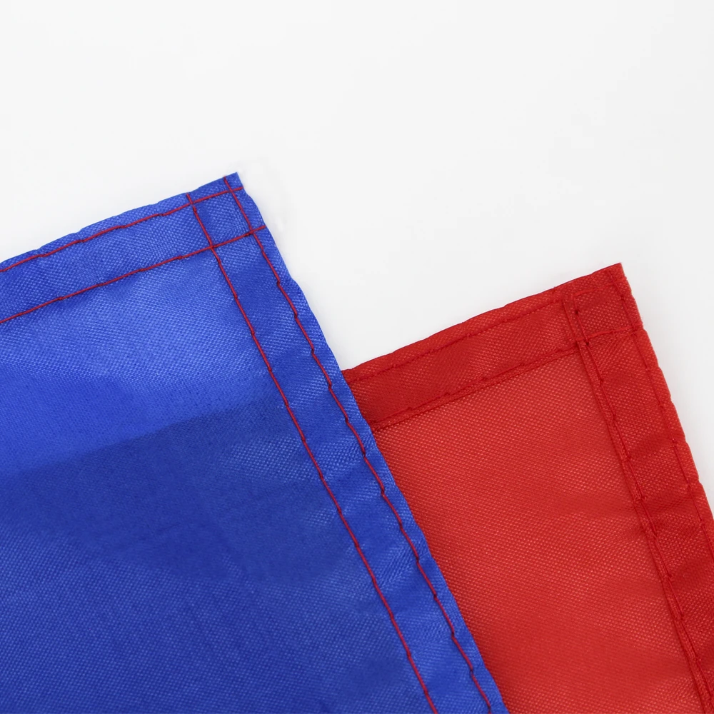 FLAGLINK bandera Schleswig Holstein para decoración exterior - imagen 4