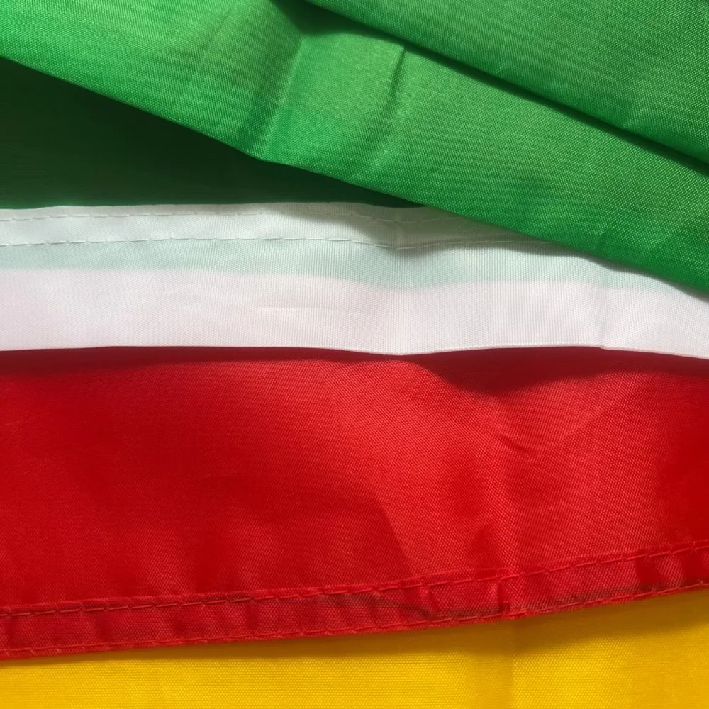 Bandera YIXIN FIagSenegal 90x150cm 3x5 pies BANDERA de fútbol súper poli Banderas colgantes de poliéster para interiores y exteriores - imagen 5