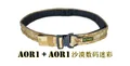 AOR1