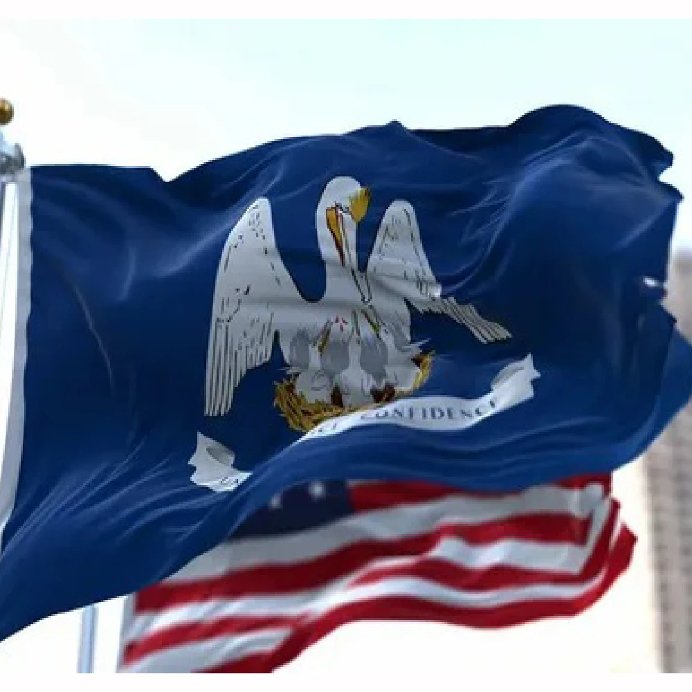 FLAGLINK Bandera Louisiana 90x150 CM Para Decoración - imagen 2