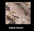 Digital Desert