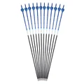 12pcs Blue