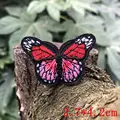 small butterfly4
