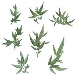 Parche táctico bambú floral termoadhesivo – Para aplicar textil