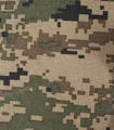 ELS
