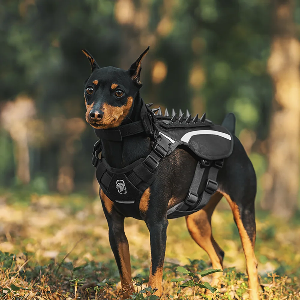 AQzxdc K9 Arnés para perros Correa táctica Estilo de chaleco para caminar al aire libre Perros pequeños y medianos - imagen 2