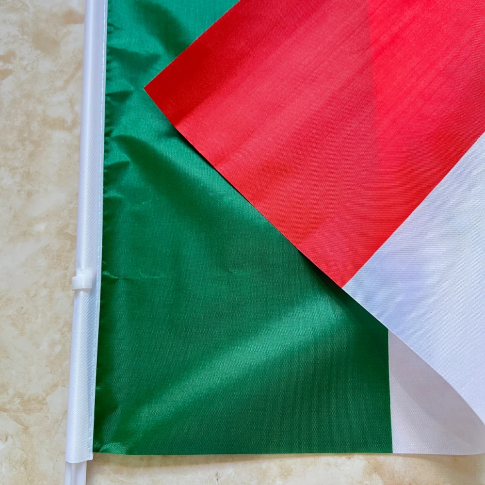 Bandera de coche de México, asta de plástico de poliéster, 30x45cm - imagen 4