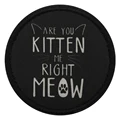 16 kitten