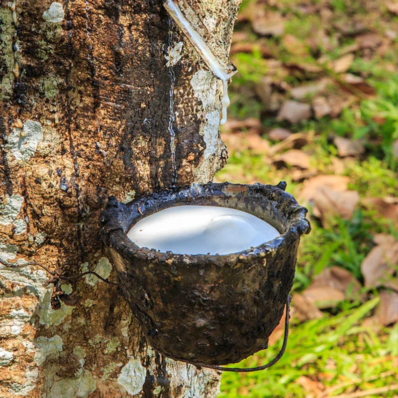 Banda de goma para tirachinas gruesa anticongelante de 2m con banda de goma plana resistente al desgaste de alta potencia y alto rebote de 0,55-1,5mm - imagen 4