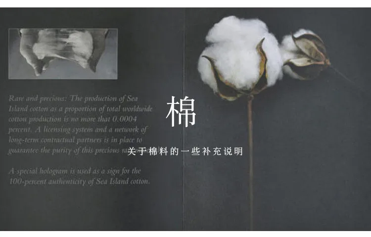 Camisa algodón pesado - Detalle de tejido