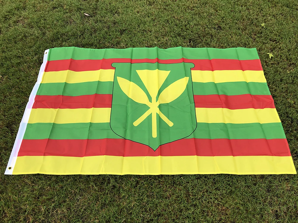 BANDERA DE CIELO 90x150cm 3x5ft Bandera Kanaka Maoli pancarta colgante de poliéster para decoración del hogar - imagen 3