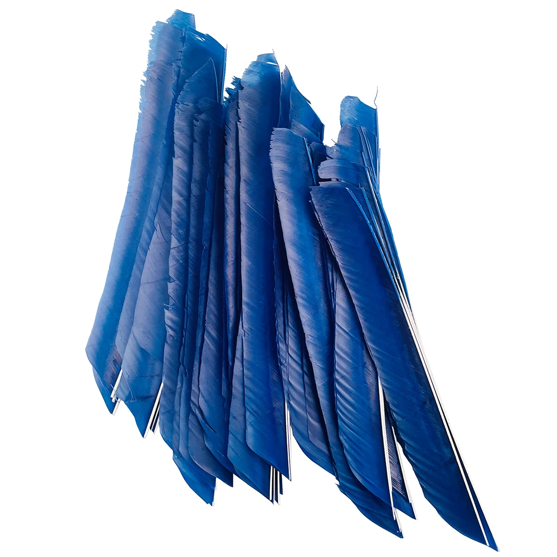 Plumas de flecha de longitud completa de 18-25CM, plumas de tiro con arco de pavo Real, accesorios de arco DIY, ala derecha, 100 piezas - imagen 5