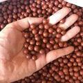50pcs mudball