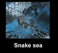 Snake sea