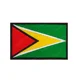 Guyana Flag