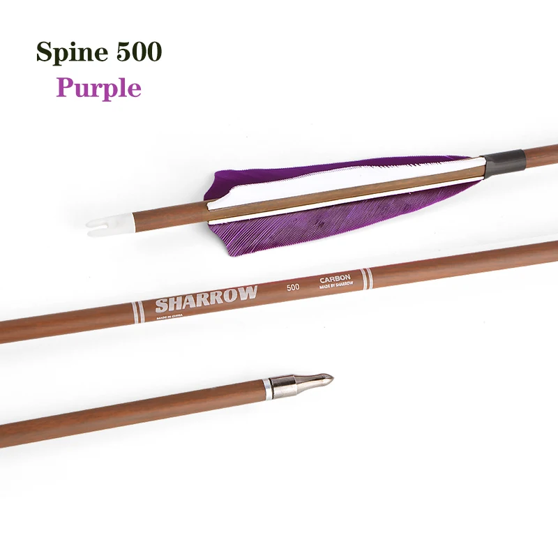 Spine 500--Purple