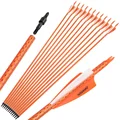 12pcs Orange