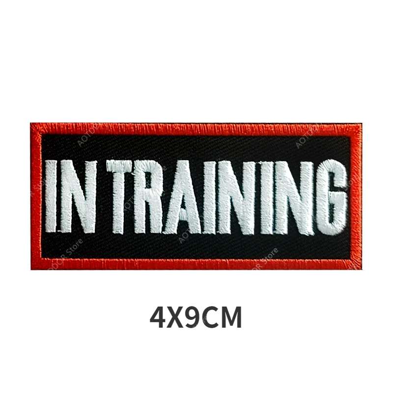 Z1-embroidery-V00931