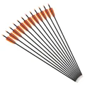12pcs Arrow