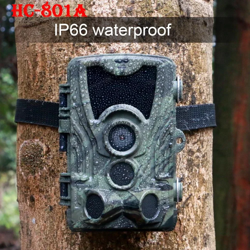 HC-801A 20MP HD 1080P cámara de caza de rastreo al aire libre nuevo botón vida silvestre visor de visión nocturna trampa de vigilancia juego cámara impermeable - imagen 2