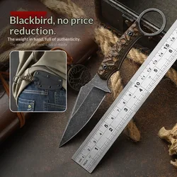 Cuchillo Pterosaurio de supervivencia acero alta dureza para exterior