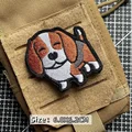 Beagle dog
