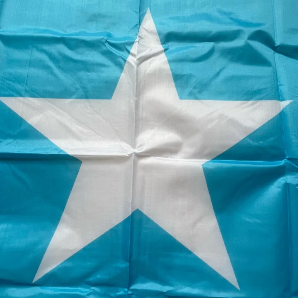 Bandera colgante de alta calidad, adorno de poliéster, 90x150cm, 3x5 pies - imagen 4