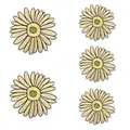 PE13486CT